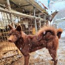 금옥이네 이미지