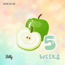 11650-17-29-18 | 임신 4주~18주 기록｜입덧·니프티검사 후기 + 운정 신혼집 아파트 매매