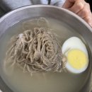 인천 만수동 냉면 맛집 추천, 황해순모밀냉면 본점 후기