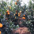 형진농장 이미지