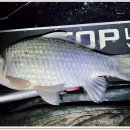 삼인낚시터 이미지