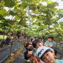 풀잎농장 이미지