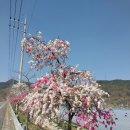 창녕노인복지회관 | 창녕군 노인복지회관 블로그입문