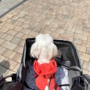 (주)펫그라운드 이미지