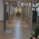 은나무