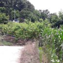 금가면사무소 이미지