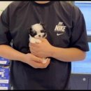 아이러브멍 이미지