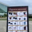 레이베이 첫 단독 내한공연 후기 | Laufey: A Matter of Time Tour