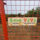윤서농장 이미지