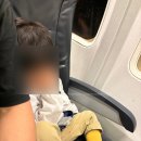 코끼리 게임장 | 다낭 여행 아기랑 호이안 빈원더스 및 다낭 롯데마트 키즈카페 2곳 이용 후기