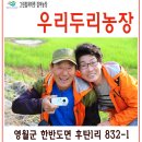 그린컬처