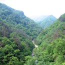 군평초등학교 이미지