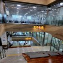 일월도서관 | 2025년 6월 수원 일월도서관 후기