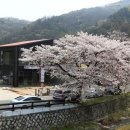 대야제3농장 이미지