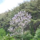 오동도호텔 이미지