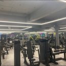 더멋짐피트니스 이미지