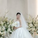 땡스살롱 | W19. 대구 본식 서브스냅 후기 해온아카이브 추천 보정 색감 구도 맛집 (+추천인 코드 공유)