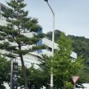 옛그림민화그리기 이미지