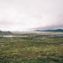 수정행정사사무소 이미지