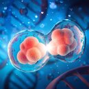 다르다면 이미지