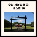 수원 가볼만한 수원 가볼만한곳 베스트10 수원 가볼만한곳 이미지