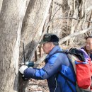 남원시, 지리산 뱀사골 고로쇠 수액 채취 시작 이미지