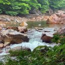 산청 대원사 계곡 경남 지리산 가볼만한곳 후기