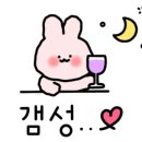 닭강정;튀김;통닭by호남