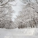 서림관광호텔 이미지