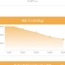 중앙대로4L | 상상보다 쉬운 다이어트 서면 지방분해주사