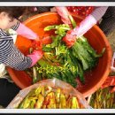 성일농장2 이미지