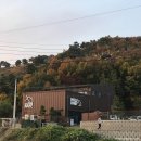 강남애니동물병원 이미지