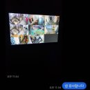 슈슈댕 천안두정점 이미지