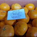 민성이네 농장 이미지