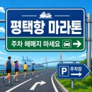 엠에스무역 | 평택항 마라톤 주차장 위치 총정리 (2025년 기준)