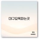 청솔아로니아