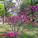 예쁘다 경주 이미지