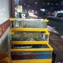 원조완도실내포장마차 이미지