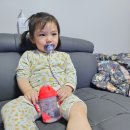 노산동물병원 이미지