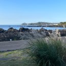 남원읍-106 이미지