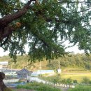 도당3리 이미지