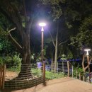 국제유도관 | 대구 )두류공원 야간투어_ 대구갈만한곳_ 대구 큰공원_ &amp; 겔럭시 폴드7 화질