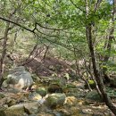 옥류천이야기길(입구) 이미지