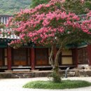 위봉사&amp;위봉폭포&amp;위봉산성 | 완주 위봉사,보광명전과 위봉폭포까지 하루에 즐기기