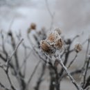 페브먼트 네이버블로그