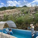 소나모나 이미지