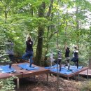 용인자연휴양림3 이미지