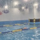 아이엠 키즈 스윔스쿨 이미지