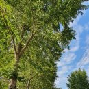 계룡산휴게소인근 이미지