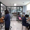 한국반려견미용학원 - 6853 | 한국반려견미용학원